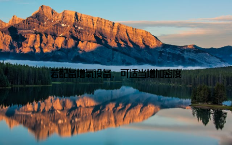 若配备增氧设备, 可适当增加密度