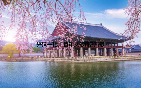 光这一项, 每年又多赚2万多