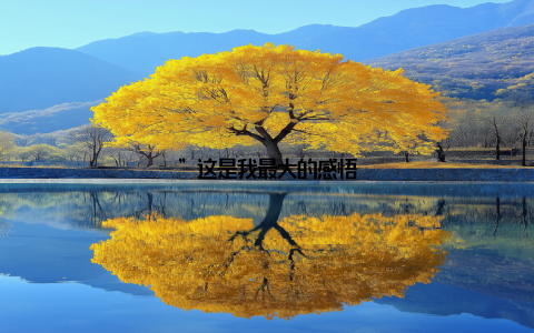 ”这是我最大的感悟