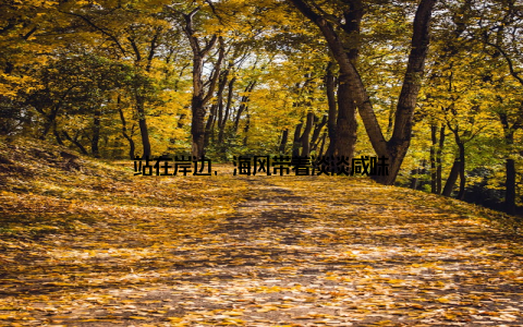 站在岸边, 海风带着淡淡咸味
