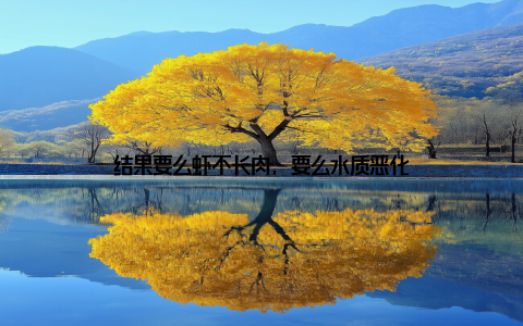 结果要么虾不长肉, 要么水质恶化