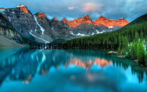 品牌化建设是提升产品附加值的关键