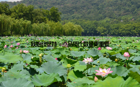 我始终坚持一点品质比数量更重要