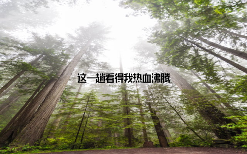 这一趟看得我热血沸腾