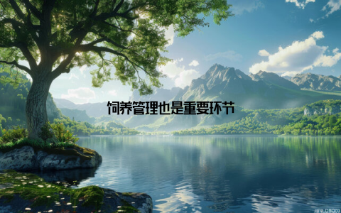 饲养管理也是重要环节