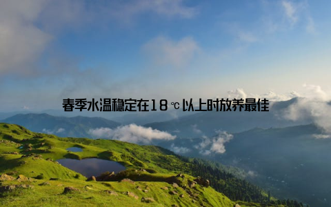 春季水温稳定在18℃以上时放养最佳