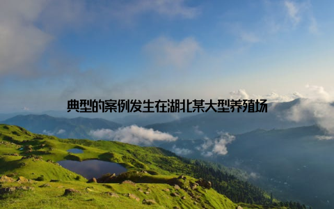 典型的案例发生在湖北某大型养殖场