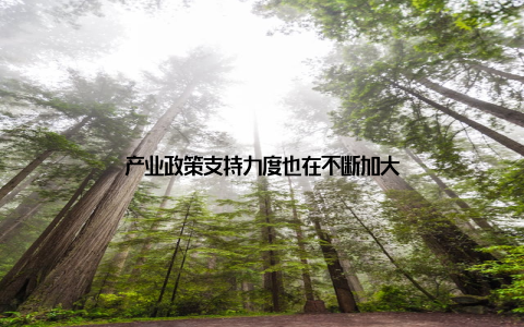 产业政策支持力度也在不断加大