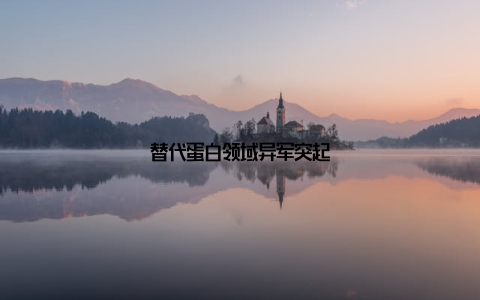 替代蛋白领域异军突起