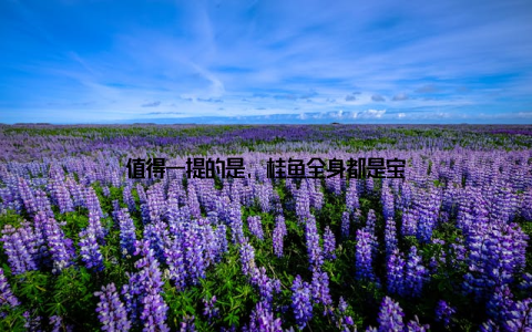 值得一提的是, 桂鱼全身都是宝