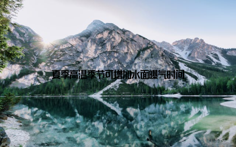 夏季高温季节可增加水面曝气时间