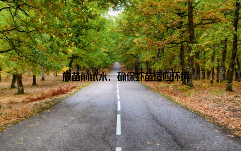 – 放苗前试水, 确保虾苗适应环境