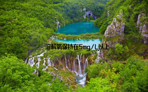 – 溶解氧保持在5mg/L以上