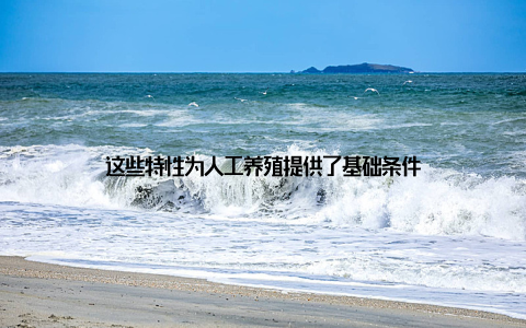 这些特性为人工养殖提供了基础条件