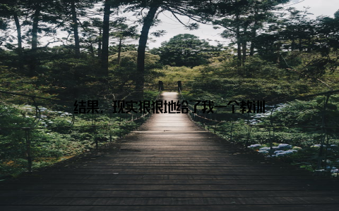 结果, 现实狠狠地给了我一个教训
