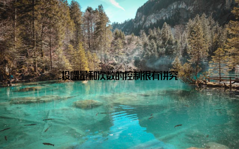 投喂量和次数的控制很有讲究