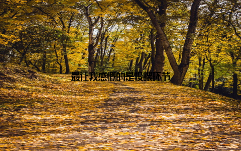 最让我感慨的是投喂环节