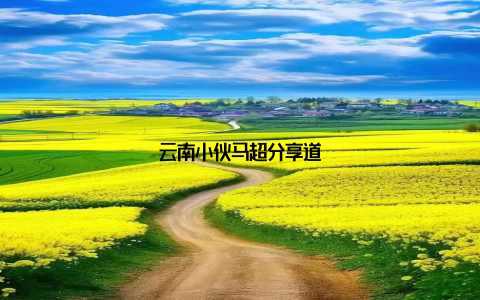 云南小伙马超分享道