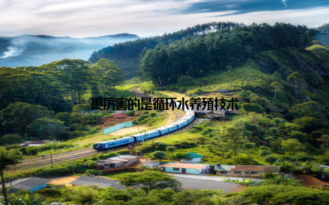 更厉害的是循环水养殖技术