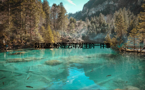 我最感动的是去年发生的一件事
