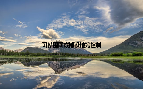 可以围网或铺设地笼控制