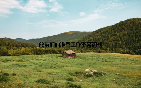 放苗前的准备工作不容忽视