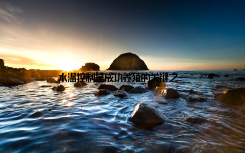 水温控制是成功养殖的关键之一