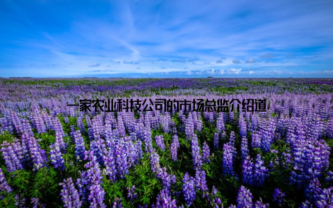 一家农业科技公司的市场总监介绍道