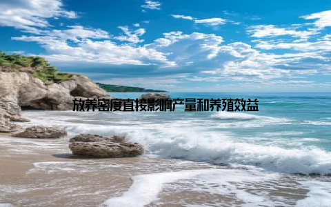 放养密度直接影响产量和养殖效益