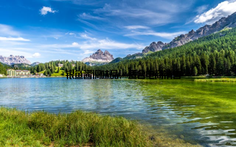 – 银鱼酱调味品, 适合电商销售