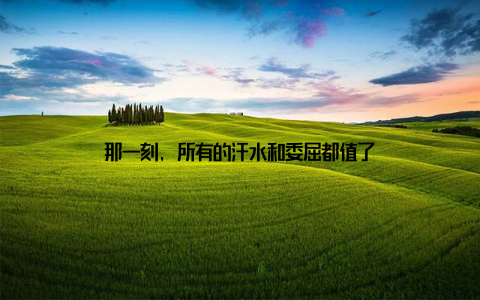 那一刻, 所有的汗水和委屈都值了