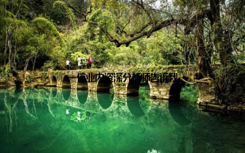 一位业内资深分析师告诉我