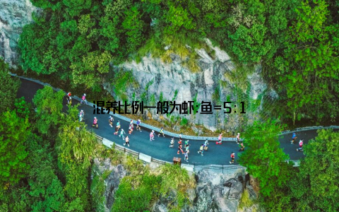混养比例一般为虾:鱼=5:1