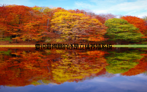 要说最得意的还是立体养殖系统