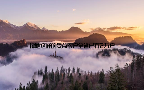 像她这样的受益农户全省已有2万户