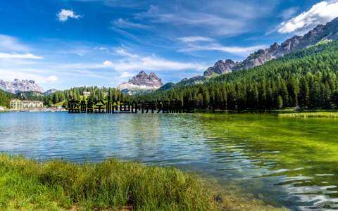 蓝鳍金枪鱼的养殖就是一个典型案例