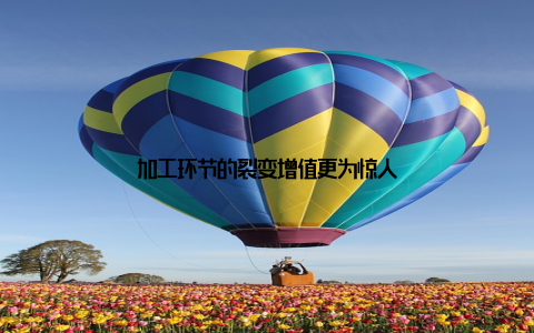 加工环节的裂变增值更为惊人