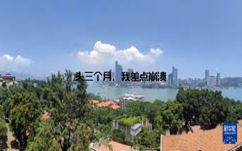 头三个月, 我差点崩溃