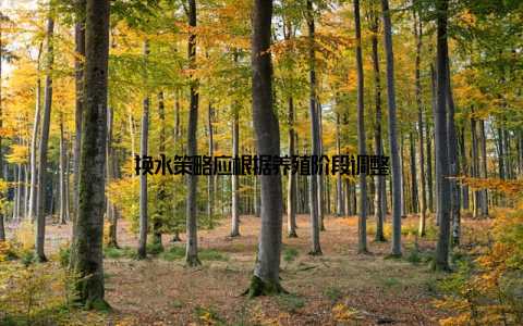 换水策略应根据养殖阶段调整