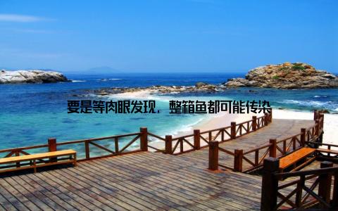 要是等肉眼发现, 整箱鱼都可能传染