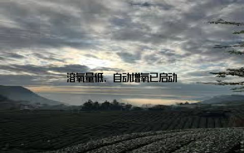 溶氧量低, 自动增氧已启动