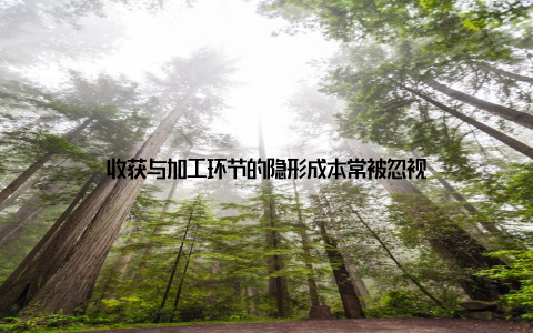 收获与加工环节的隐形成本常被忽视