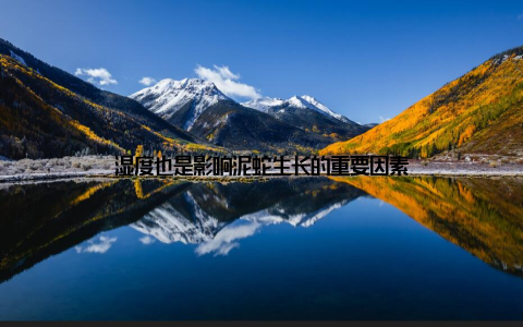 湿度也是影响泥蛇生长的重要因素