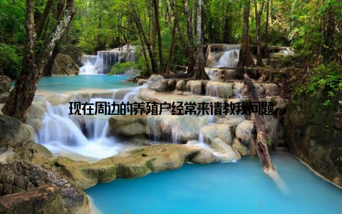 现在周边的养殖户经常来请教我问题