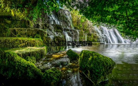 一位资深卖家感慨道