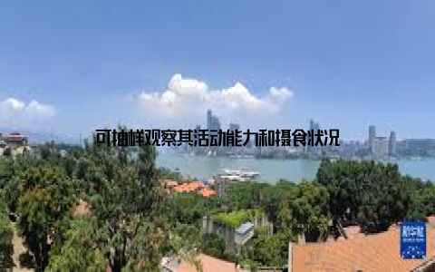 可抽样观察其活动能力和摄食状况