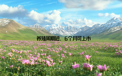 – 养殖周期短, 6个月可上市