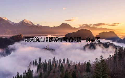 那天的心情像等待考试成绩一样忐忑