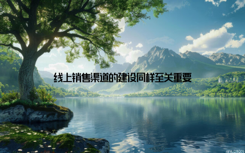 线上销售渠道的建设同样至关重要