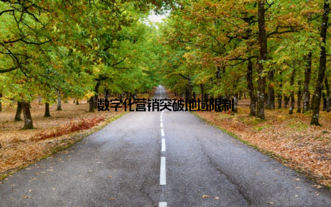 数字化营销突破地域限制